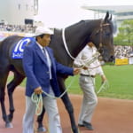 【競馬】1994年の天皇賞（秋）で優勝した名馬ネーハイシーザーが死亡