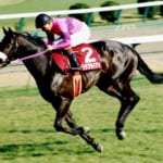 【競馬】24年前の今日、ナリタブライアンが史上5頭目の三冠馬に！