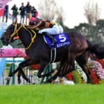 【競馬】エリザベス女王杯11月11日開催。秋の最強牝馬決定戦！