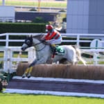 【競馬】タマモプラネットが京都ジャンプS制覇、大逃げで重賞初勝利！