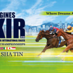 【競馬】香港国際競走2018が12月9日に開催！日本馬9頭出走予定