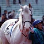 【競馬】白毛の競走馬の歴史についてまとめたよ！