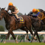 【競馬】牝馬であるディヴァインラヴが菊花賞に勝てば74年ぶりの偉業となる