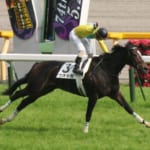 【競馬】谷水雄三オーナーが馬主を引退。馬主界隈の後継者について
