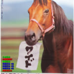 【競馬】引退馬協会ナイスネイチャ賞12月19日開催。オリジナルグッズも販売されるよ！
