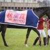 【競馬】秋華賞が10月14日開催。アーモンドアイが牝馬三冠に挑戦！