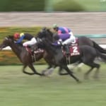 【競馬】神戸新聞杯、ワグネリアンが優勝！エポカドーロは4着