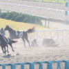 【競馬】京都競馬6Rで3頭落馬…和田騎手、幸騎手、川又騎手が心配