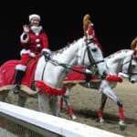 【競馬】芦毛・白毛の競走馬限定レース「ホワイトクリスマス賞」がカワイイ！
