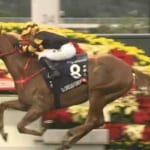 【競馬】香港カップでグロリアスフォーエバーが勝利！ディアドラは追い込んで2着