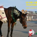 【可愛すぎる】今年も『にいかっぷホロシリ乗馬クラブ』に馬サンタ＆猫サンタが登場！