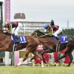 【競馬】阪神ジュベナイルフィリーズ予想！どの競走馬が勝つと思う？
