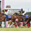 【競馬】阪神ジュベナイルフィリーズ12月9日開催！2歳牝馬チャンピオン決定戦