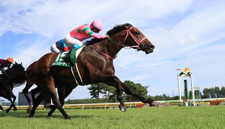 アイビスサマーダッシュ＆クイーンステークス | ウマ娘攻略 ...