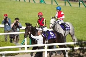 管理人が個人的に好きな競走馬の画像 | ウマ娘攻略まとめ速報