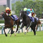netkeiba「平成最強の春の天皇賞馬」ランキング結果が発表！