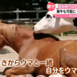 【競馬】自分を馬だと思ってる牛がいる！？歩き方がウマとそっくりで環境が与える影響って大きい