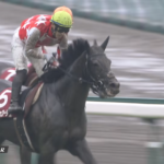 【競馬】ステラヴェローチェが神戸新聞杯を制覇！