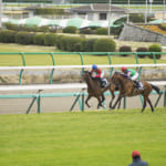 【競馬】一般家庭の人間が騎手を目指すきっかけ！いつ頃から馬と接する機会がある？