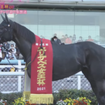 【競馬】アカイイトがエリザベス女王杯を制覇！キズナ産駒、初G1勝利を飾る！