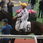 【競馬】「香港の英雄」ことゴールデンシックスティ、安田記念の回避が決定