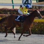 【競馬】コパノリッキーはダートで物凄い戦績を残した名馬！他に思い浮かんだダートの名馬といえば？