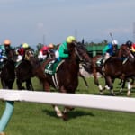 【競馬】日本と海外で競馬の認識は大きく差異があるんだよね
