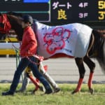 【競馬】10歳馬「ノンコノユメ」が引退を発表