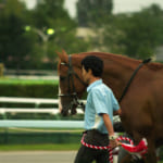 【競馬】ダービーと菊花賞の二冠馬が一番少ないのが驚きの事実