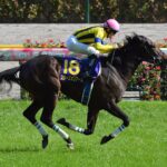 【競馬】二冠牝馬スターズオンアース、繋靭帯炎発症で年内は休養と発表