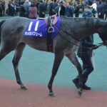 【競馬】東京大賞典4連覇を達成したオメガパフュームが引退、種牡馬入りへ