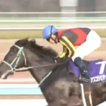 【競馬】アスコリピチェーノが阪神JFを制覇し現在3連勝中！