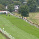 【競馬】チェプストウ競馬場のコースに羊が乱入！順番待ちが多い！